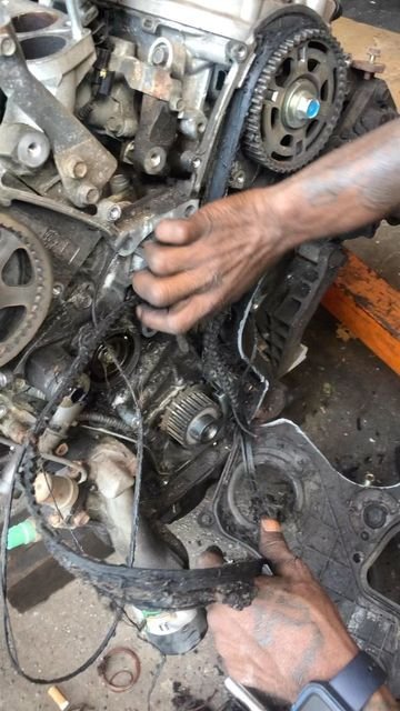 Timing Belt